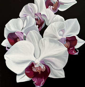 Ute s Orchids